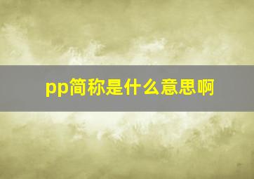 pp简称是什么意思啊