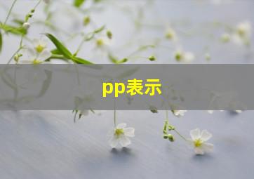 pp表示