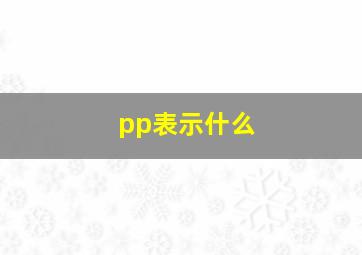 pp表示什么