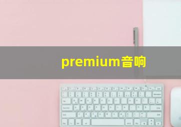 premium音响