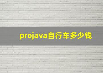 projava自行车多少钱