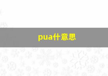 pua什意思