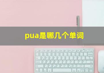 pua是哪几个单词