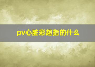 pv心脏彩超指的什么