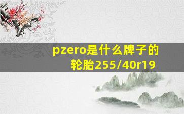 pzero是什么牌子的轮胎255/40r19