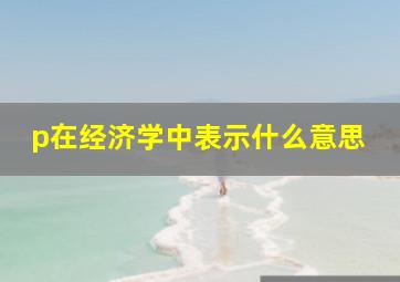 p在经济学中表示什么意思