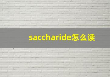 saccharide怎么读