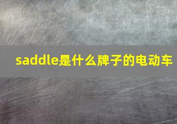 saddle是什么牌子的电动车