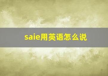 saie用英语怎么说