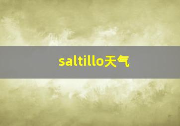 saltillo天气