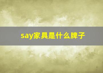 say家具是什么牌子