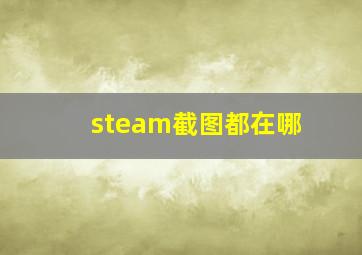 steam截图都在哪