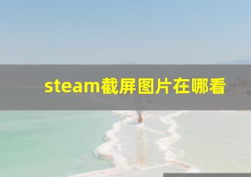 steam截屏图片在哪看