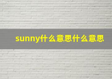 sunny什么意思什么意思