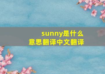 sunny是什么意思翻译中文翻译