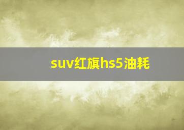 suv红旗hs5油耗