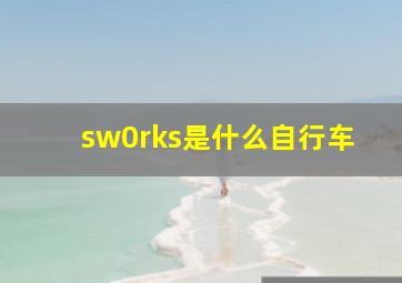 sw0rks是什么自行车