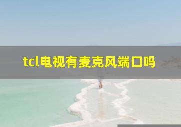 tcl电视有麦克风端口吗