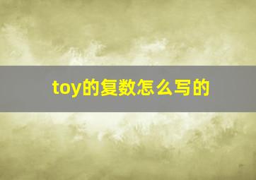 toy的复数怎么写的