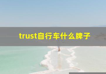 trust自行车什么牌子