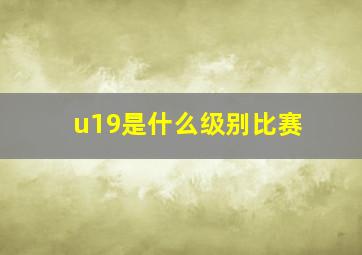 u19是什么级别比赛