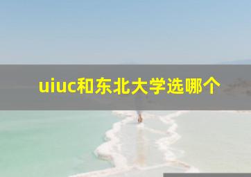 uiuc和东北大学选哪个