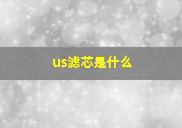 us滤芯是什么