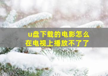 u盘下载的电影怎么在电视上播放不了了