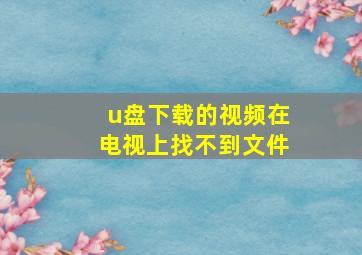 u盘下载的视频在电视上找不到文件