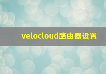 velocloud路由器设置