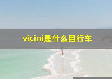 vicini是什么自行车