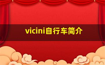 vicini自行车简介