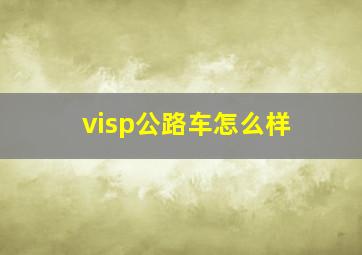 visp公路车怎么样