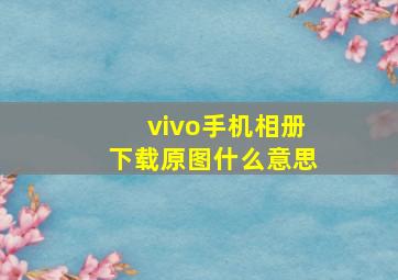 vivo手机相册下载原图什么意思