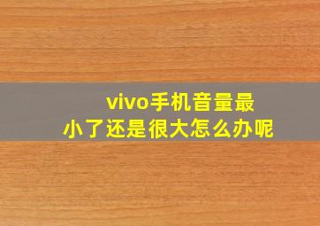 vivo手机音量最小了还是很大怎么办呢