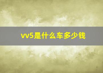 vv5是什么车多少钱