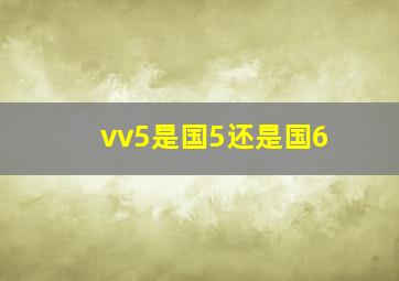 vv5是国5还是国6