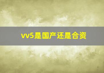 vv5是国产还是合资