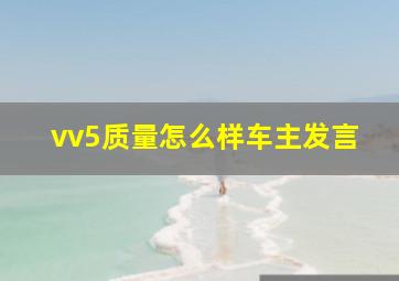 vv5质量怎么样车主发言