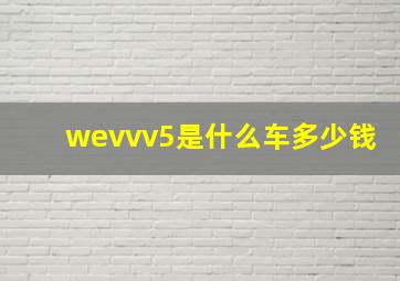 wevvv5是什么车多少钱