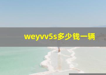 weyvv5s多少钱一辆