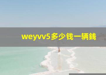 weyvv5多少钱一辆銭