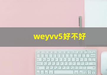 weyvv5好不好