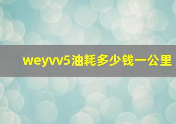 weyvv5油耗多少钱一公里