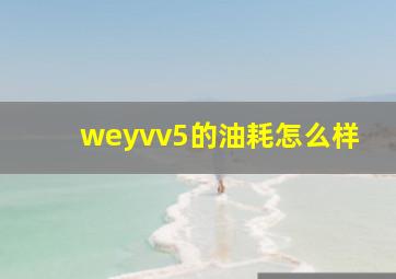 weyvv5的油耗怎么样