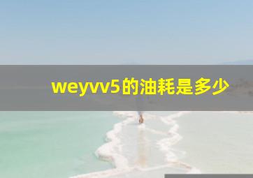 weyvv5的油耗是多少