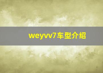 weyvv7车型介绍