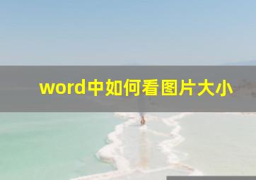 word中如何看图片大小