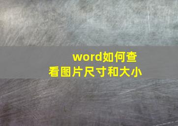 word如何查看图片尺寸和大小