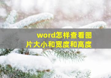 word怎样查看图片大小和宽度和高度